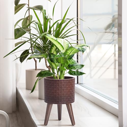 D'vine Dev Planter Pot with Wood Stand, 8 in, Espresso, 88-Z-A-6 - color: Espresso, size: Small