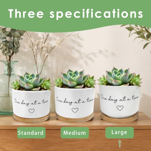 Inspirational Mental Health Gifts Plant Pots Planters - color: Style a -L