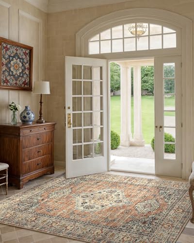 Lahome Oriental Washable Bedroom Rug, 4x6 Area Rug for Living Room - color: Terracotta, size: 4' x 6' (Rectangular)