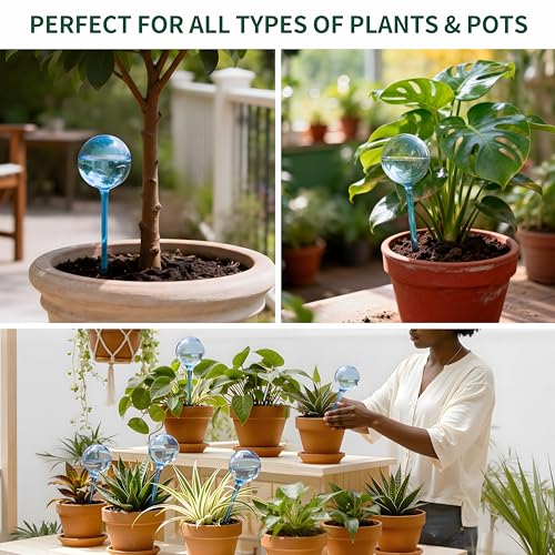 12-Pack Plastic Plant Watering Globes, Self Watering Spikes, Plant Waterer - size: M+S - 12 Pack
