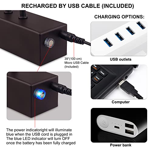 HEAGEERO Picture Lights for Wall,13in Gallery Light,5000mAh Art Light - color: Black-13"