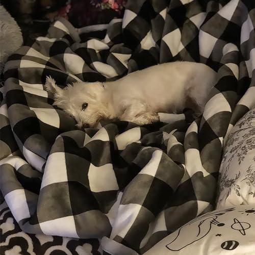 UKELER Buffalo Check/Plaid Throw Blanket 60''×50'' for Couch- Ultra Soft Plush Flannel Fleece Sherpa Throw Bed Throws for Kids and Adult - color: A-black/White Plaid, size: 50''x60''
