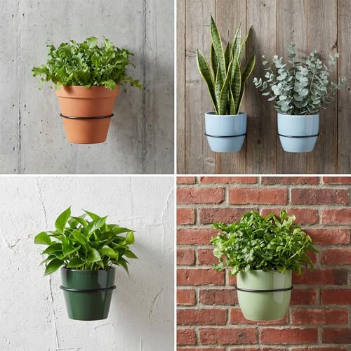 12 Pack 6 Inch Wall Plant Holder, Indoor Metal Plant Hanger Wall Mount Plant Holder Flower Pot Holder Ring, Black