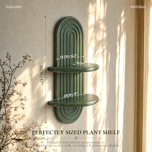 Plant Wall Shelf for Bathroom: Hanging Plant Shelf for Wall Decor, Green - color: Green