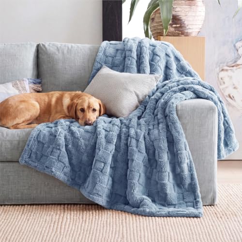 Bedsure Checkered Soft Cozy Twin Blanket for Bed, Ashley Blue,60"×80" - color: 02 Ashley Blue, size: Twin (60" X 80")