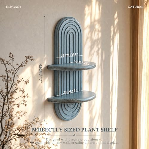 Plant Wall Shelf for Wall Decor: Hanging Plant Shelf for Indoor Plant, Blue - color: Blue