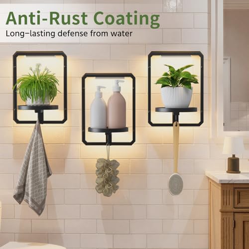 LASZOLA Plant Picture Frame Holder Shelf Wall with Lights, 3 Pcs Black - color: Glossy Black with Lights, size: 3