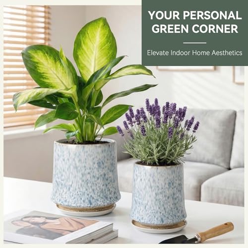 8 Inch Ceramic Planter Pot with Saucer Drainage Leak-Proof Mesh,Flower Pots for Lavender with Gardening Gloves,Ceramic Planter for Orchid(Light Blue) - color: Light Blue, size: 8 Inch