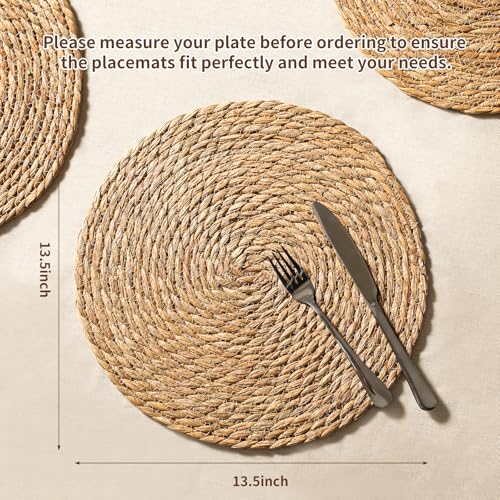 13.8'' Round Woven Placemats Set of 40, Boho Wicker Chargers, Terrekraft - size: Set of 40