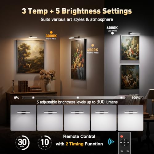 NARUNDREN Rechargeable Picture Lights for Wall with Remote-2PC(Black) - color: Black