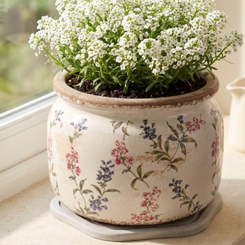French Country Ceramic Plant Pot with Decorative Saucer, Plant Lover Gifts - color: Purple Red, size: 7.7 in - w/ Saucer