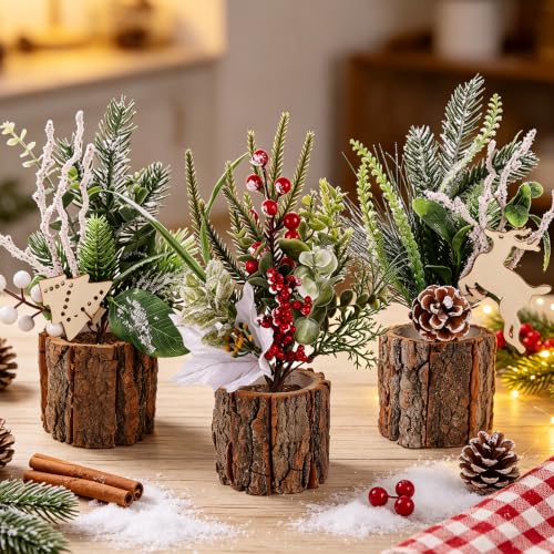 winemana Christmas Table Decorations Indoor Xmas Centerpieces Decor, 3 Pack - size: Style 1