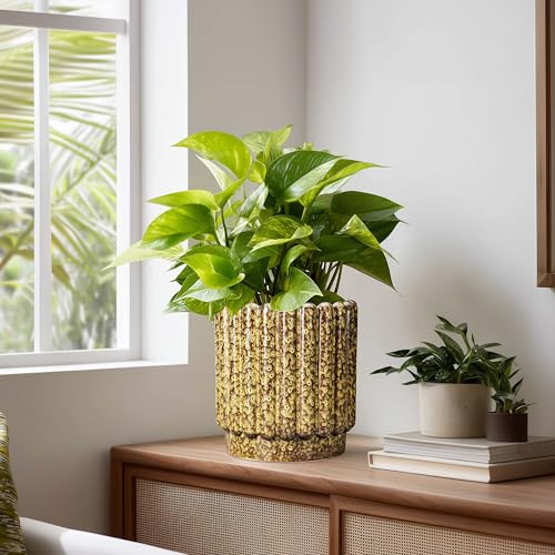 Ceramicfor Ceramic Planter, 7.6 Inch, Yellow - color: Leopard Print Yellow, size: 7.6 Inch