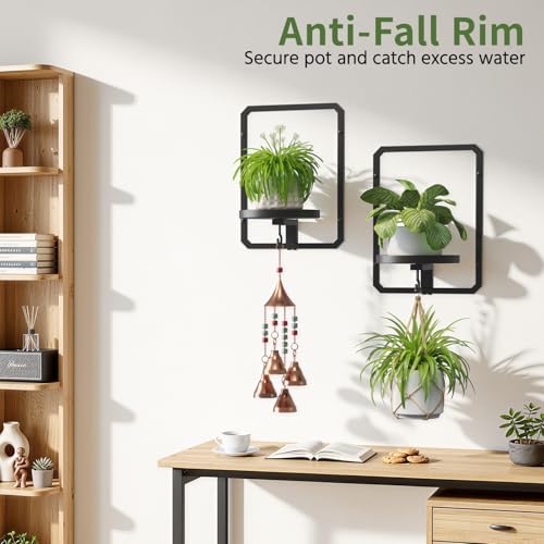 LASZOLA Plant Picture Frame Holder Shelf Wall Window Indoor, 3 Pcs Black - color: Standard Black, size: 3