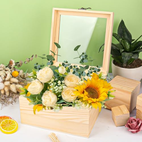 2 Pack Wood Box with Glass Lid, 7.87 x 7.87 x 4.72 inch Wooden Display Box with Hinged Lid for DIY Craft, Collectibles - size: 2 Pack 7.87 x 7.87 x 4.72 inch