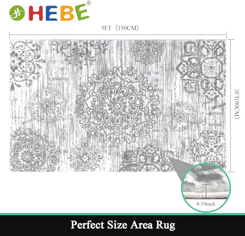 HEBE Area Rug for Entryway 3'x5', Washable Non Slip Boho Bedroom Rug - color: Grey, size: 3' x 5' (Rectangular)