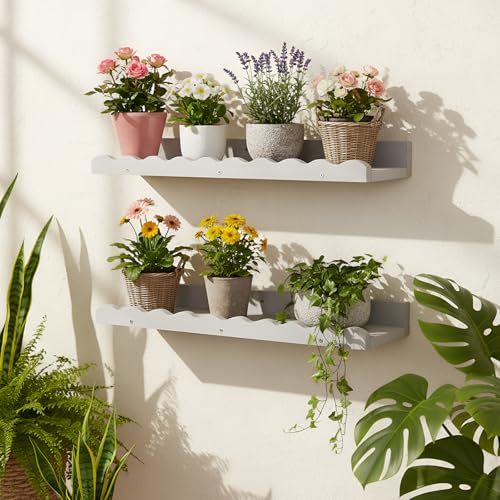 Suzile 2 Pcs Scalloped Floating Wall Shelves,12",Gray - color: Grey, size: 12"