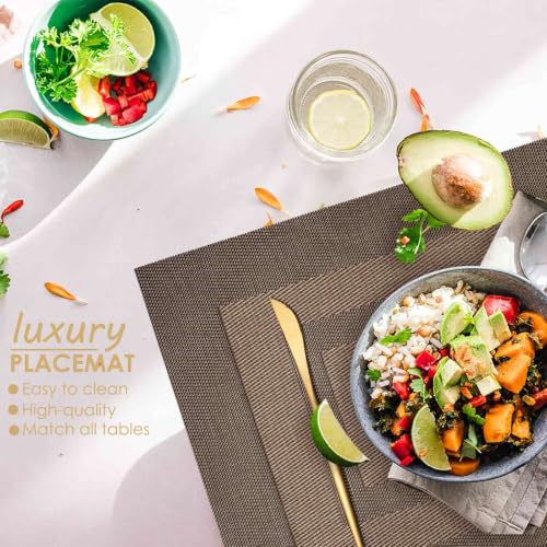 GIVERARE Placemats Set of 4, Heat-Resistant Woven Vinyl Placemat, Non-Slip Washable PVC Table Mat, Easy to Clean Premium Plastic Mats for Dining, Kitchen Table (Dark Brown) - color: Dark Brown