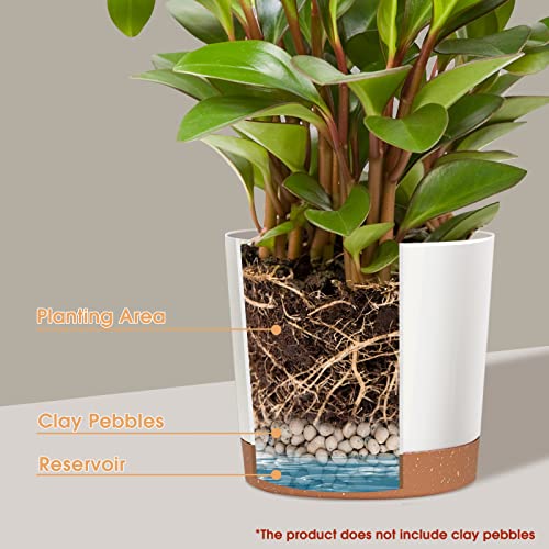 Plant Pots for Indoor Plants, 2 Pack 12 Inch Pots for Plants (12” White) - color: White, size: 12 Inch