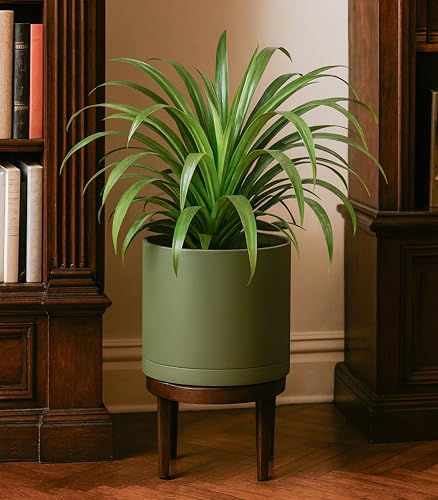 D'vine Dev Plastic Planter Pot with Saucer, 8 in, Olive, 74-X-I-1 - color: Olive, size: 8"