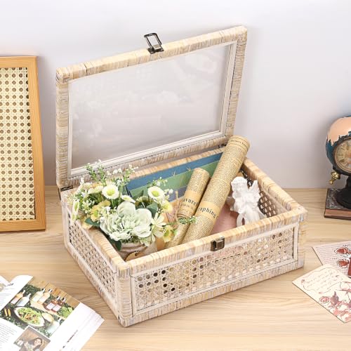Hipiwe Handwoven Rattan Basket with Lid Decorative Storage Boxes, Large - color: Whitewash Color, size: Large, 14"x10"x5.7"