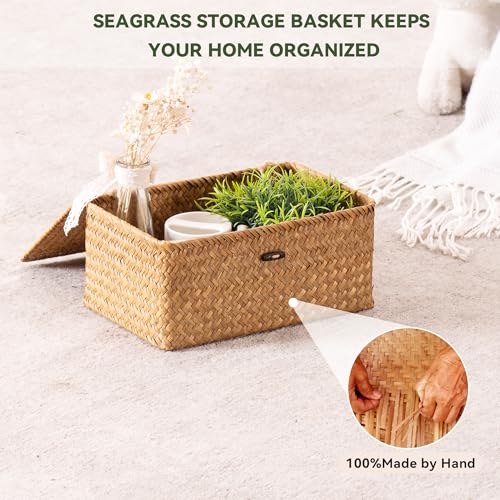 Nonam Medium Wicker Basket with Lid,Seagrass Shelf Storage Basket,Natural - color: M-Natural