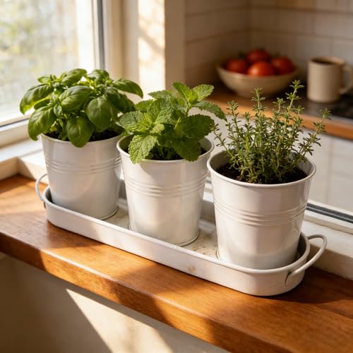 Small Pots for Plants, 3-Pack 4.7 Inch White Metal Herb Pots, Mini Windowsill Planter for Succulent, Cactus, Basil, Mint, Rosemary - color: White
