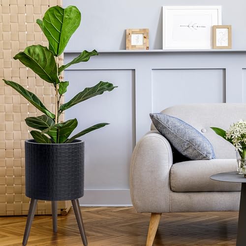 D'vine Dev Planter Pot with Wood Stand, 12 in, Matte Black, 88-Z-C-2 - color: Matte Black, size: Large
