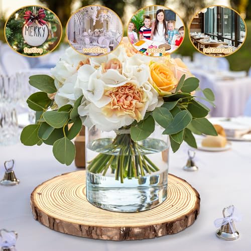 FSWCCK 2 Wood Slices 8-9in, Large Slabs for Wedding DIY - size: 2 Pcs 8"-9"