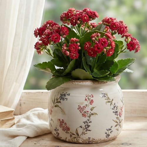Xiaan Jiaju Flower Pots, Vintage Antique Ceramic Planters for Indoor Plants - color: Purple Red, size: 6.3 in