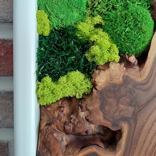 White Framed Moss Wall Art, Vertical Cedar Wood & Preserved Greenery Modern Natural Wall Decor for Living Room, Office & Home, Zero Maintenance Handcrafted Gift 60" x 24" - size: 60"L x 24"W