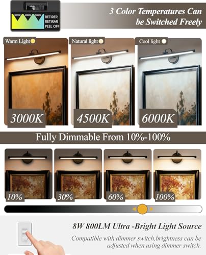 Hardwired Picture Light for Wall, 16 Inch Modern Brass Dimmable Frame Light with Adjustable Swing Arm, 3CCT LED Art Display Light for Paintings,120 Volts Gallery Wall Light, Hallway Vanity Light, 6W - color: Black, size: 16 inches