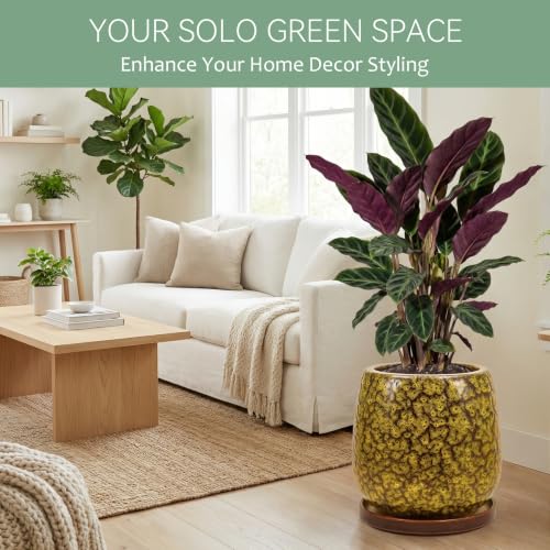 10.3 Inch Ceramic Glaze Plant Pot with Saucer, Flower Pots with Drainage Hole Mesh Net (Spot Yellow) - color: Spot Yellow