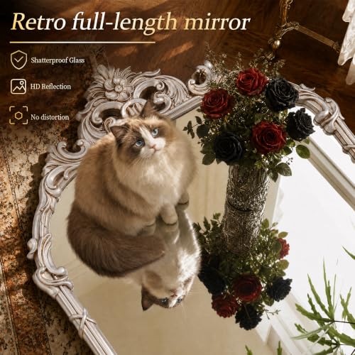 Antique Matte Silver 69"x28" Arched Full Length Mirror for Decor - color: Antique Silver