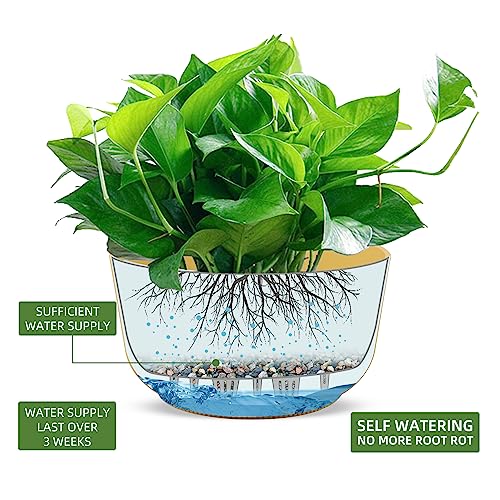 Dexceder 9.8 Inch Self Watering Hanging Planter (2 Pack, Yellow) - color: Yellow, size: 9.8 inch