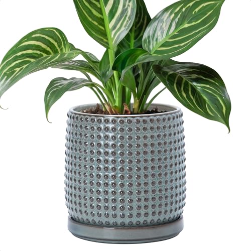 D'vine Dev Beaded Ceramic Pot with Saucer, 6 in, Graphite Blue, 27-C-X-9 - color: Graphite Blue, size: 5.8 Inch