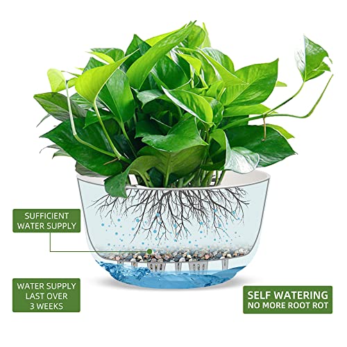 Dexceder 8.75 Inch Self Watering Hanging Planter (2 Pack, White) - color: White, size: 8.75 inch
