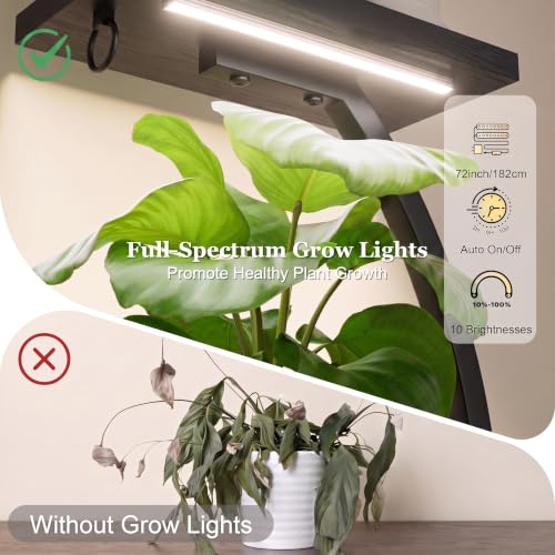 BACEKOLL Plant Stand with Grow Light, 2 Pack Tall Indoor Plant Shelf 6 Tier - color: Black + Black