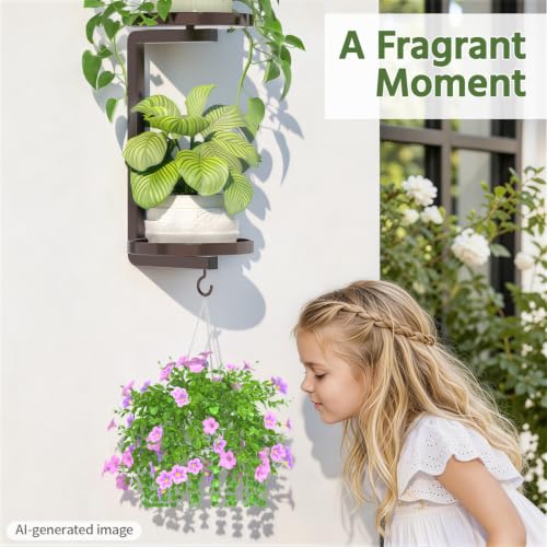 LASZOLA Plant Hanger Holder Window Shelf Wall Mounted Indoor, 2 Pcs Bronze - color: Classic Bronze, size: 2