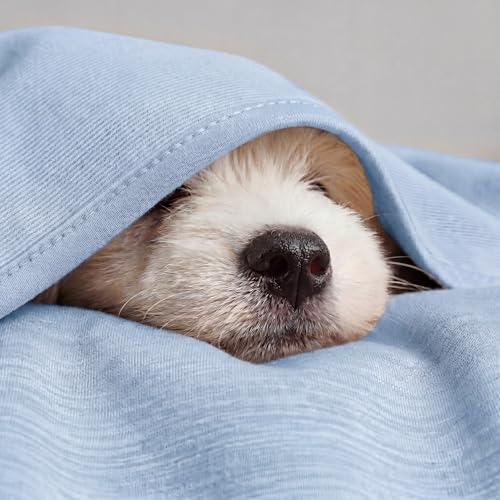 Bedsure Silky Soft Cooling Blanket for Hot Sleepers, Throw XL, Light Blue - color: 09- Light Blue, size: Throw Xl (50" X 70")