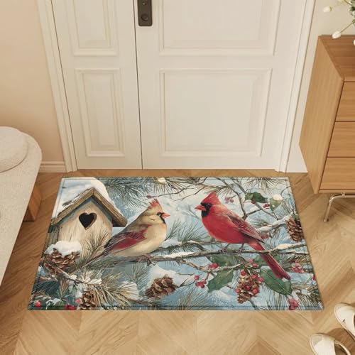Red Cardinal Bird Bath Mat Rug, Door Mat Doormat Entrance Non-Slip Bathroom Rugs for Entryway Bathroom Kitchen 17 x 30 Inch - color: Red Cardinal Bird