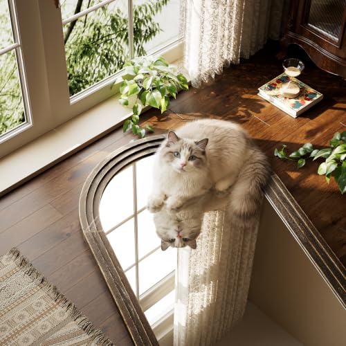 71"x30" Arched Full Length Mirror with Solid Wood Frame, Walnut - color: Walnut, size: 71"L x 30"W