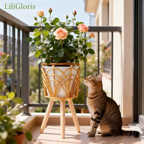 Boho Rattan Plant Stand, Set of 2 (Small & Medium), Indoor Outdoor