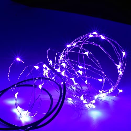 Karlling USB Plug in LED Fairy Lights,50 LED Bulbs 16 Ft Silver Wire Starry String Lights for Bedroom Patio Garden Party Wedding Commercial Lighting (Purple) - color: Purple, size: 50 Leds