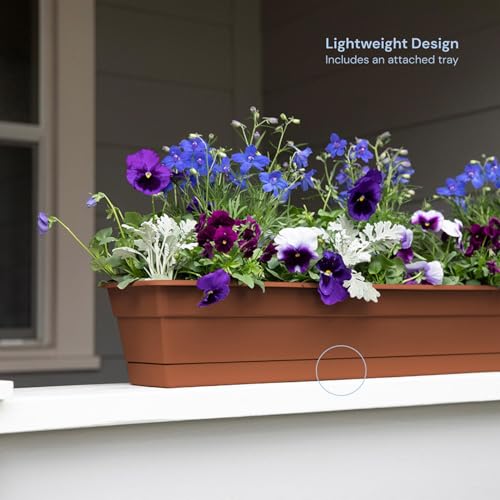 Bloem Dura Cotta Window Box Planter: 30" - Terra Cotta - Large Box with Tray, Weatherproof Resin Box, Removable Tray for Indoor & Outdoor Use, Gardening, 4 Gallon Capacity - color: Terra Cotta, size: 30"
