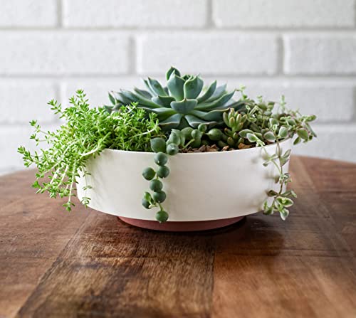 The HC Companies 8 Inch Round Plastic Succulent Capri Bowl Decorative Indoor Flower Succulent Planter Pot with Drain Plug Hole, Vanilla Bisque - color: Vanilla Bisque, size: 8"