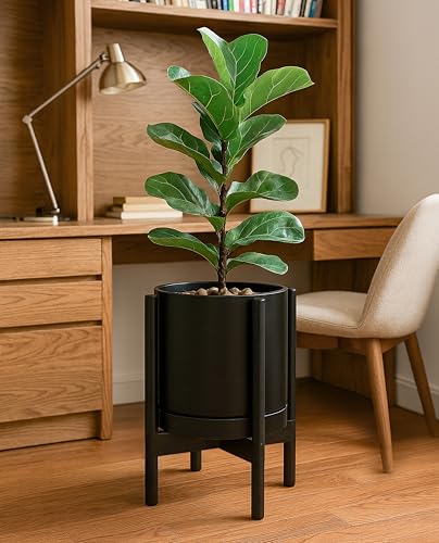 D'vine Dev Ceramic Pot with Ebony Wood Stand, Black, 10 in, 55-B-L-2 - color: Black Pot + Ebony Stand, size: 10 Inch
