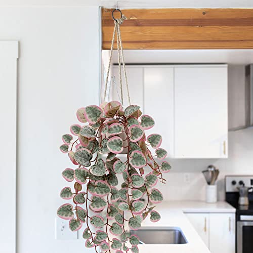 Briful Pink Fake Variegated String of Hearts Plant in White Ceramic Pot - color: Blush Pink and Sage Green Variegated