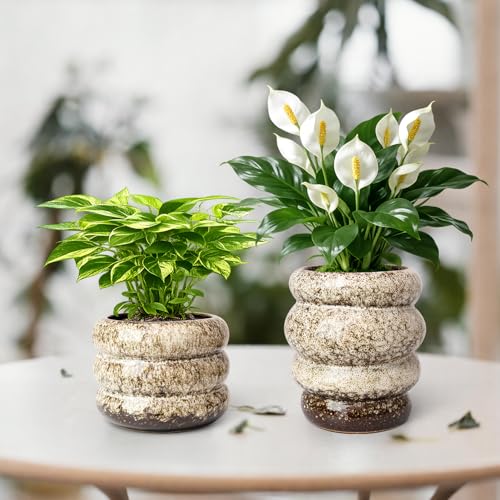 Ceramic 6 inch Plant Pot - Planter for Indoor Plants with Drainage Hole - color: White-s