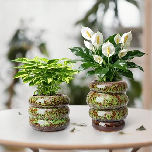 Ceramic 6 inch Plant Pot - Planter for Indoor Plants with Drainage Hole - color: Green-s